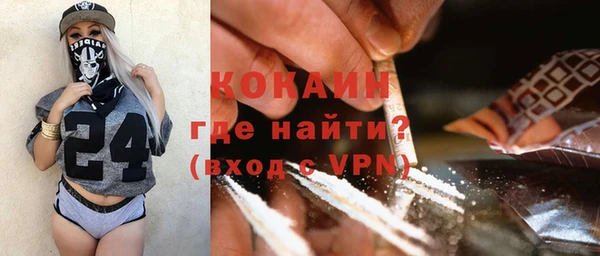 прущий лед Алзамай