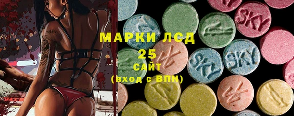 прущий лед Алзамай