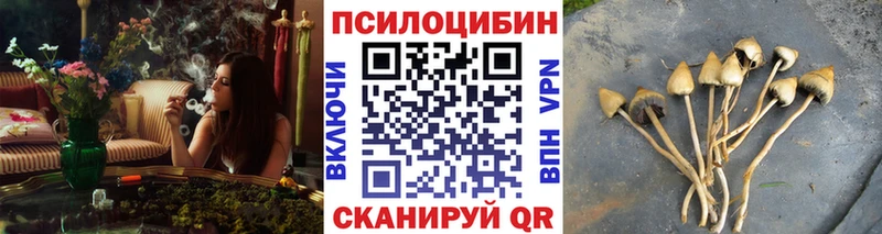 Псилоцибиновые грибы прущие грибы  закладки  Ижевск 